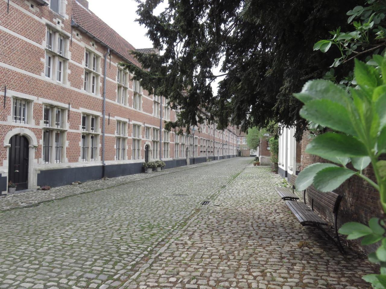 Lovely Guesthouse Lier Lint Exterior photo